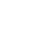 MOB ICONS_mob car