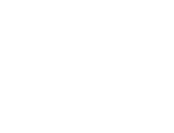 MOB ICONS_mob car