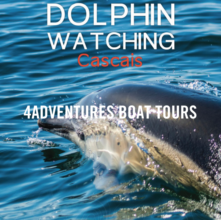 pt LLL indie bookshop